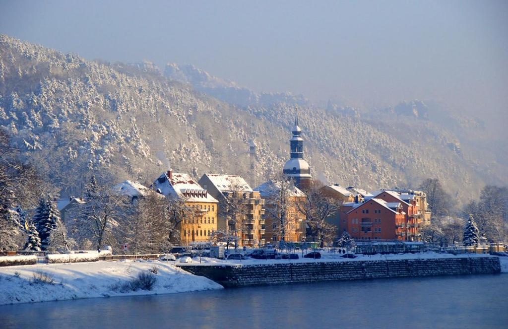 Klostrmanka - Decin, Letna Apartment Екстериор снимка